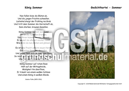 König-Sommer-Falke.pdf